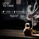 american-standard-supplements-pure-creat-4.jpg