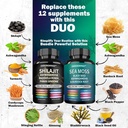 shilajit-and-sea-moss-capsule-complete-v-2.jpg
