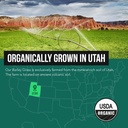 organic-barley-grass-juice-powder---grow-6.jpg