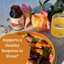peak-valley-stress-relief-supplement-for-2.jpg