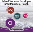 anderson-new-ionic-magnesium-complex-liq-6.jpg