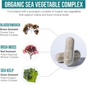 organic-iodine-supplement-1500-mcg-iodin-3.jpg