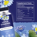 amazing-botanicals-blueberry-lotus-flowe-4.jpg