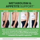 green-tea-fat-burner-gummies-for-weight--4.jpg