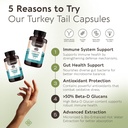 organic-turkey-tail-mushroom-capsules-su-3.jpg