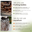 organic-turkey-tail-mushroom-capsules-su-4.jpg