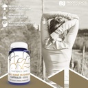 nootropics-depot-lions-mane-mushroom-cap-4.jpg