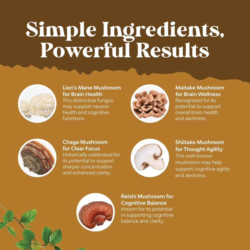 advanced-lions-mane-mushroom-supplement--4.jpg