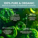 holistic-bin-marine-phytoplankton-powder-4.jpg