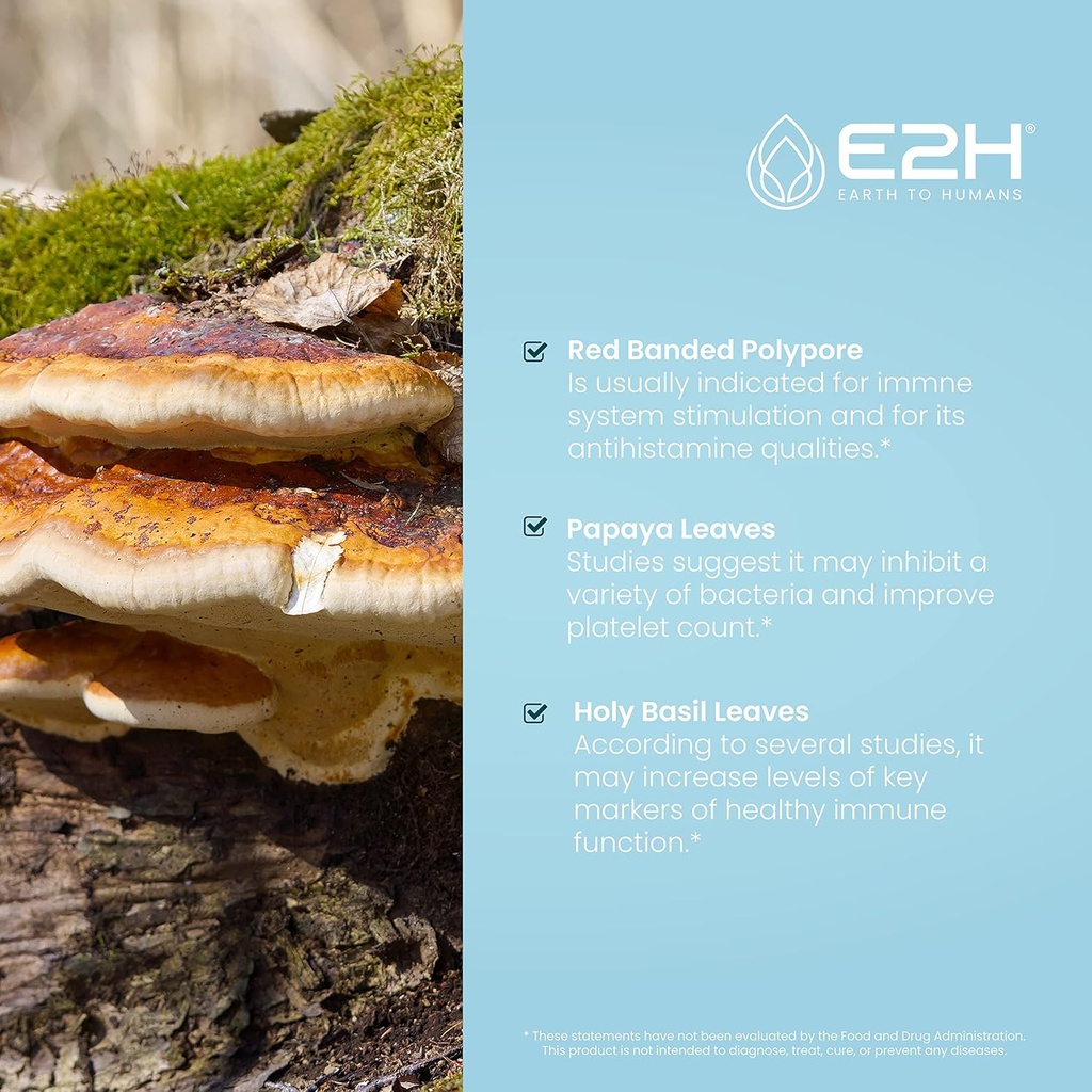 e2h-advanced-immune-defense-supplement---3.jpg
