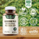 vegan-labs-berberine-hcl-1200mg-with-org-6.jpg