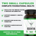 vedge-vegan-omega-3-multivitamin-for-wom-5.jpg