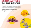 reboost-breathe-easy-decongestion-nasal--3.jpg