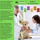 maximum-immunity-25-β-glucan-100-mushroo-6.jpg