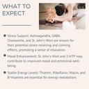 bye-bye-stress-60-servings-gaba-ashwagan-4.jpg