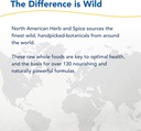 north-american-herb-spice-resp-immune----6.jpg
