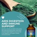healthforce-superfoods-vitamineral-green-5.jpg