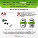 cal-mag-complete-21-calcium-magnesium-vi-6.jpg