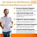 10-in-1-irish-sea-moss-veggie-caps-3000m-5.jpg