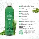 chlorophyll-water-liquid-chlorophyll-12--4.jpg