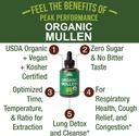 usda-organic-mullein-leaf-drops-for-lung-2.jpg
