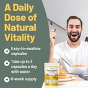 vegan-vitality-multi-mushroom-supplement-6.jpg
