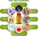 vegan-bone-immune-hormonal-support-trio--3.jpg
