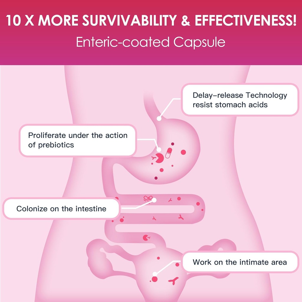 drfoster-probiotics-for-women-digestive--5.jpg