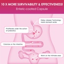 drfoster-probiotics-for-women-digestive--5.jpg