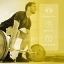 effective-nutra-creatine-monohydrate-gum-4.jpg