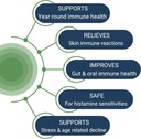 healthy-gut-holoimmune-paraprobiotic-wit-5.jpg