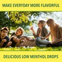 ricola-sugar-free-lemon-mint-throat-drop-3.jpg