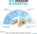 cheers-potassium-citrate-supplement-316m-2.jpg