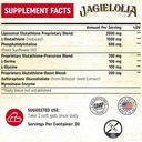 liposomal-glutathione-2000-mg-with-l-ser-2.jpg