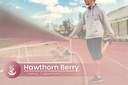 pure-original-ingredients-hawthorn-berry-5.jpg