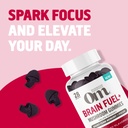 om-mushroom-superfood-brain-fuel-gummies-6.jpg