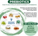 vital-planet---vital-flora-adults-over-5-5.jpg