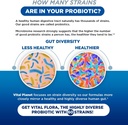 vital-planet---vital-flora-adults-over-5-6.jpg
