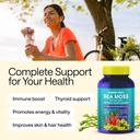 wildcrafted-irish-sea-moss-capsules-chon-2.jpg