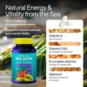 wildcrafted-irish-sea-moss-capsules-chon-3.jpg