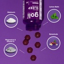 goli-dreamy-sleep-gummy---60-count---mel-3.jpg