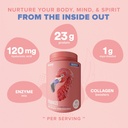 birdman-fitmingo-vegan-protein-powder-wi-4.jpg