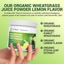 dr-berg-usda-certified-organic-green-pow-6.jpg