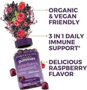 viva-naturals-organic-sambucus-elderberr-5.jpg