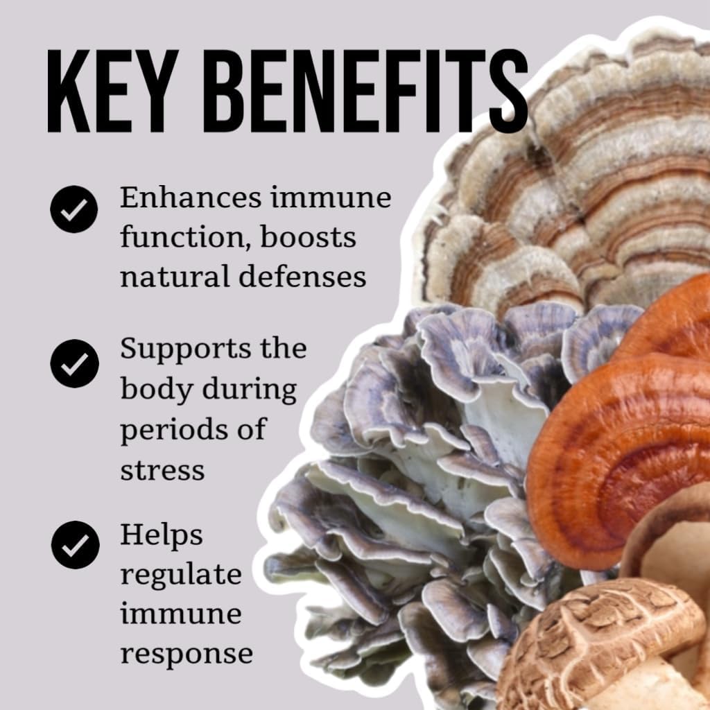 north-spore-organic-immunity-mushroom-ti-3.jpg