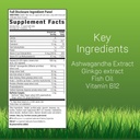 irwin-naturals-mental-clarity-informatio-2.jpg