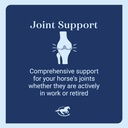 tendon-eqTM-pellets-horse-tendon-support-4.jpg