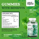 wild-organic-lions-mane-gummies-ginkgo-b-5.jpg