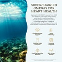vtc-vitatradingco-krill-omega-3-oil-supp-5.jpg