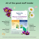 hylands-baby-mucus-and-cold-relief-day-a-3.jpg